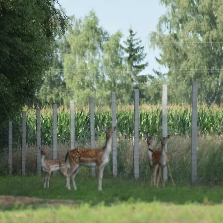 Dom Na Pustkowiach